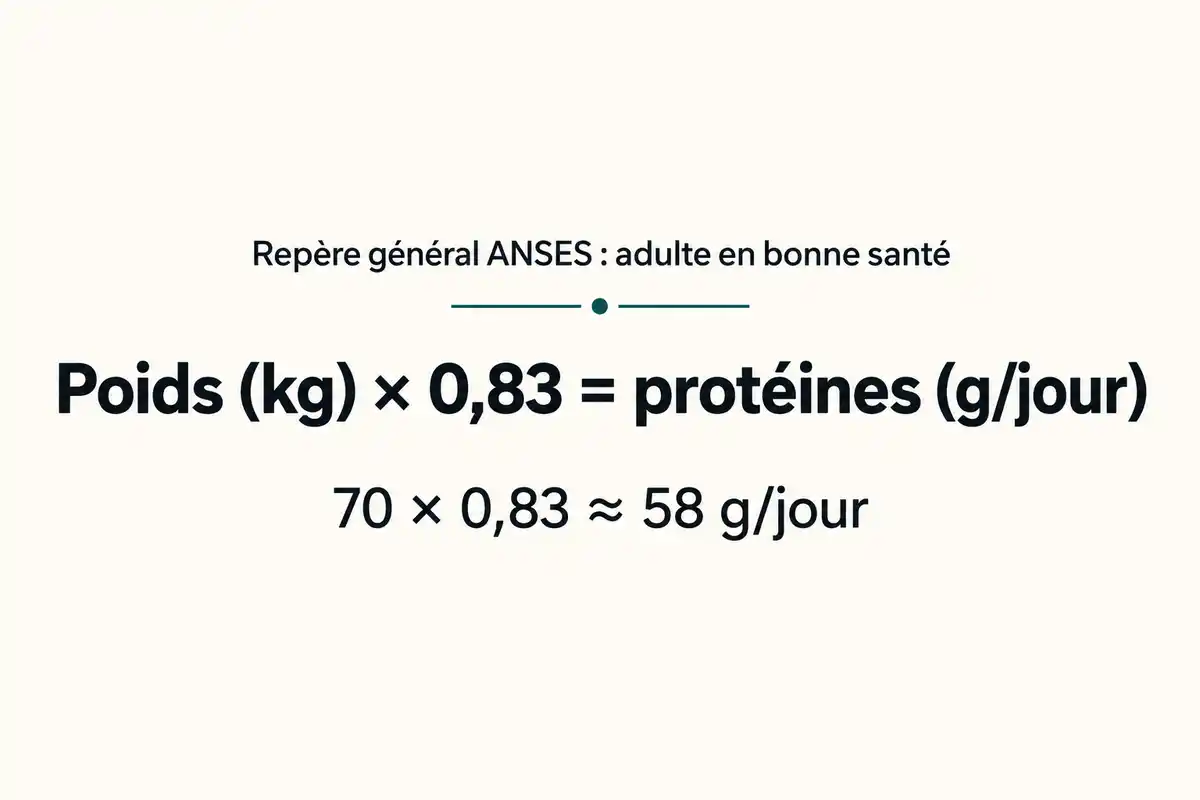Le repĂšre de 0,83 g par kilo sâapplique au poids pour estimer les protĂ©ines quotidiennes ; Ă 70 kg, le calcul donne environ 58 g.